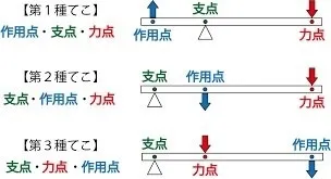 人体のテコの原理とは?